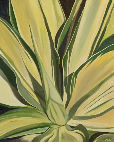 Agave Plant Giclee Print, 18x24, Giclee on Canvas, by Michele Zuzalek