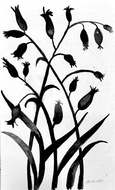 Etude Botanique #13, 11x17 india ink on handmade watercolor paper, by Michele Zuzalek