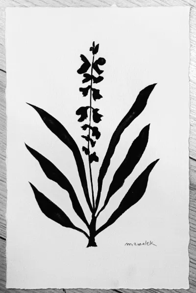 Étude Botanique #23, 7.5x11.5, ink on handmade watercolor paper, by Michele Zuzalek
