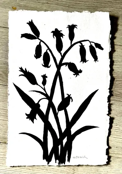 Études Botaniques 11, 11x17 India ink on hand made deckled edge watercolor paper, by Michele Zuzalek