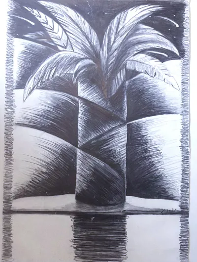 Night Palm, 15x22, graphite on paper, by Michele Zuzalek